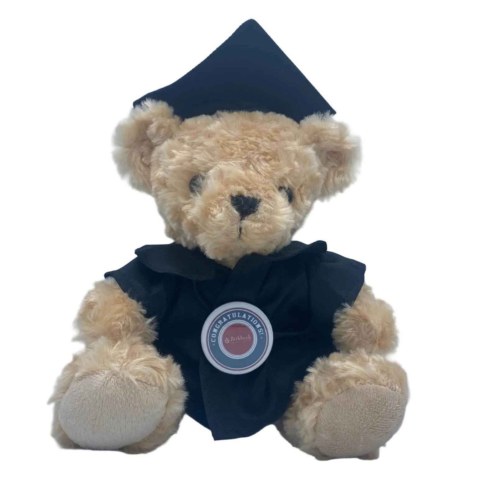 Birkbeck, University of London - Graduation Bear