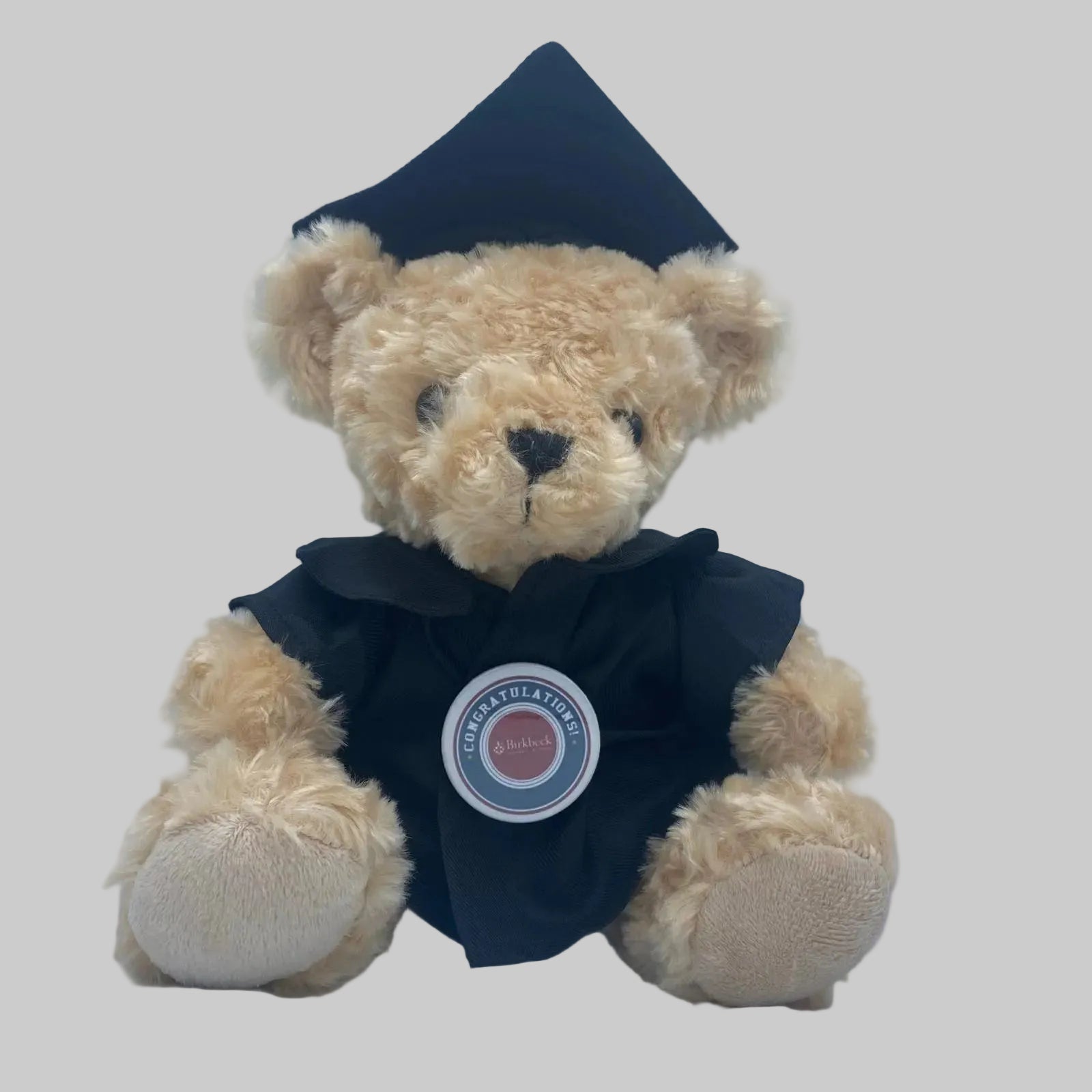 Birkbeck, University of London - Graduation Bear