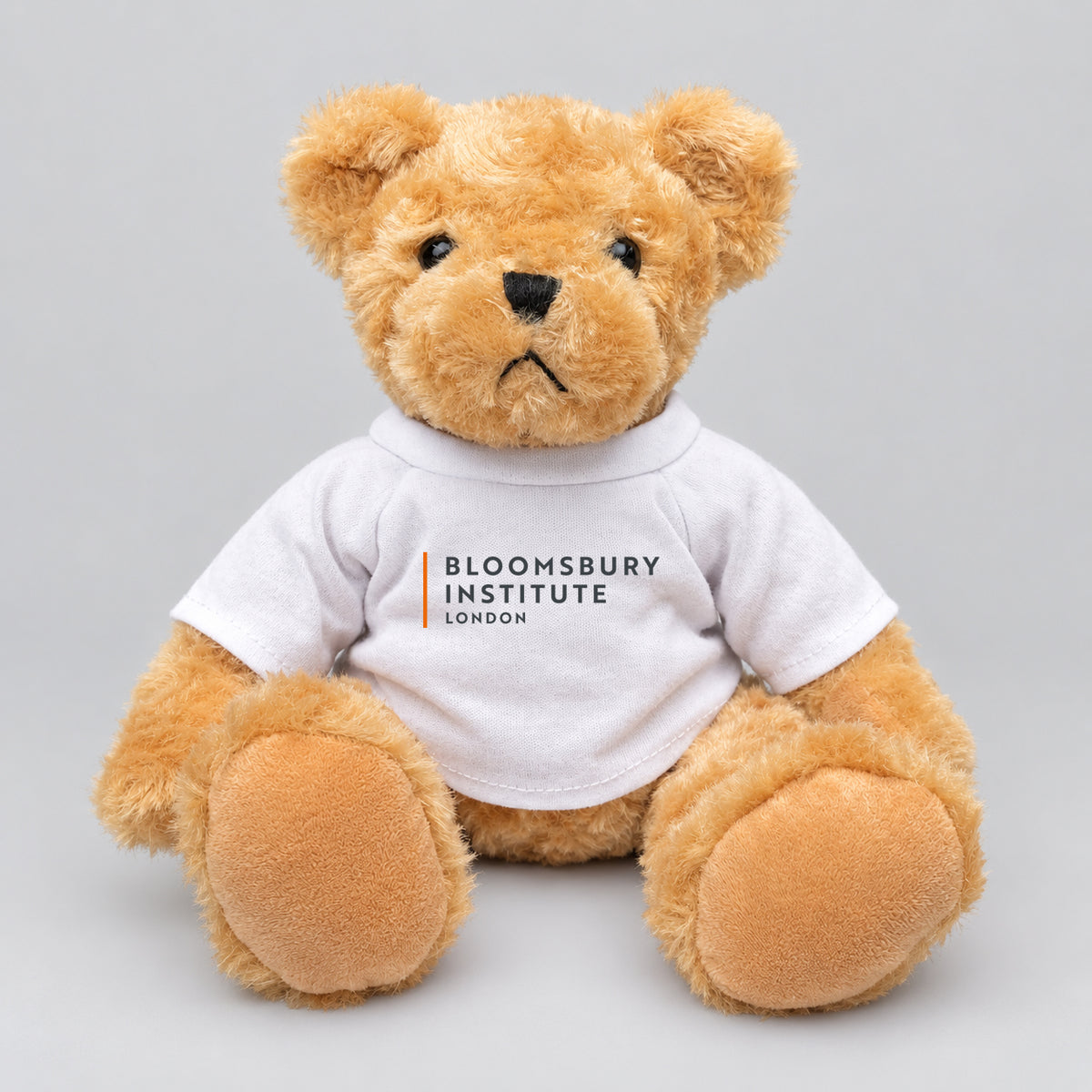 Bloomsbury Institute London - Tshirt Bear