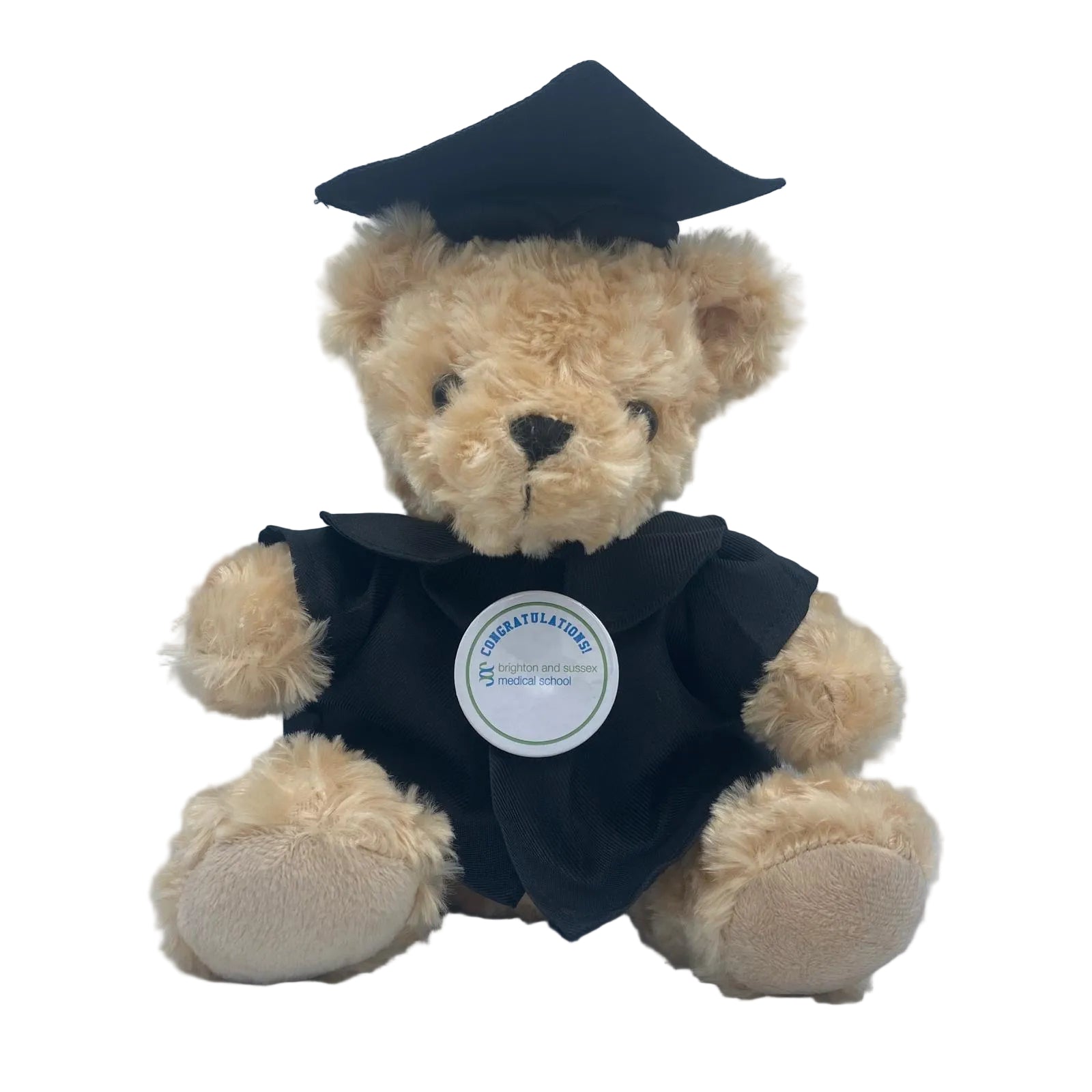 Brighton & Sussex Medical School - Graduation Bear