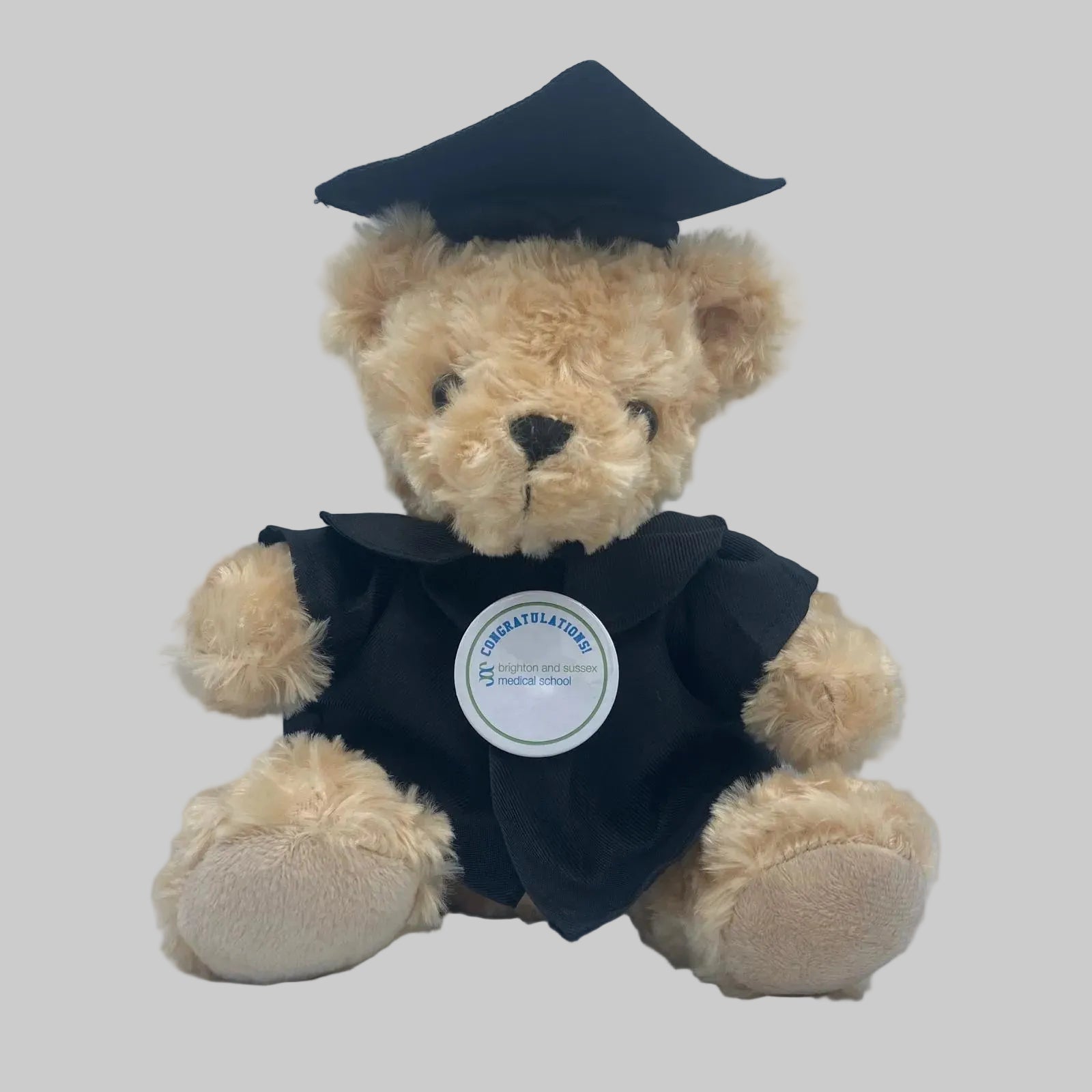 Brighton & Sussex Medical School - Graduation Bear