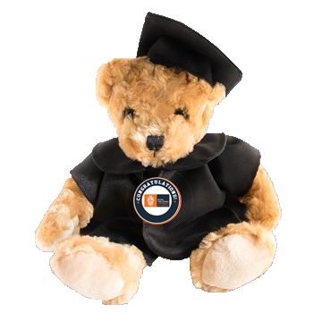 Royal Holloway University of London - Graduation Bear