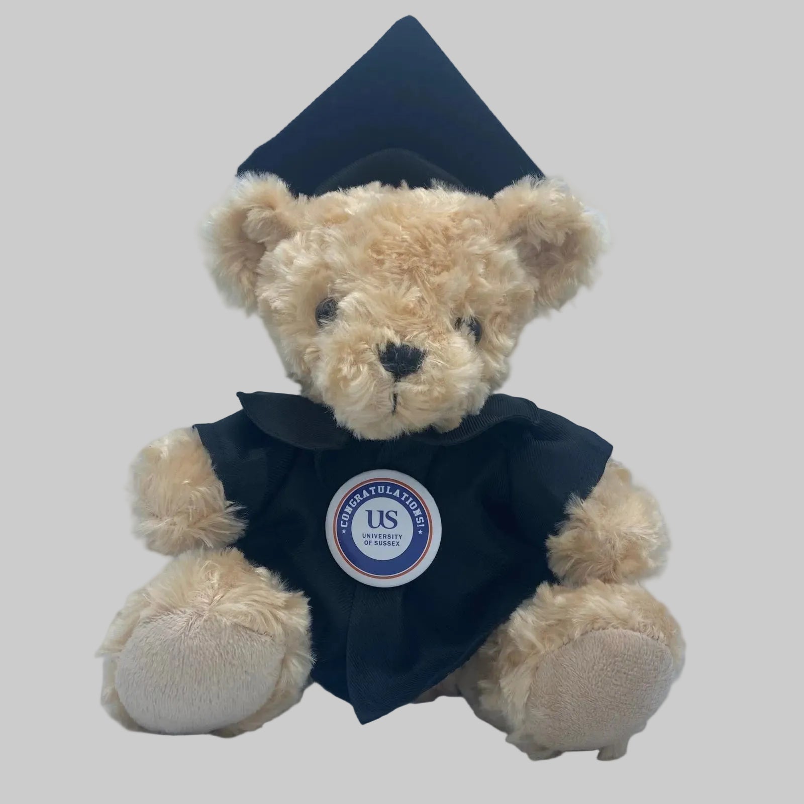 University of Sussex - Graduation Bear