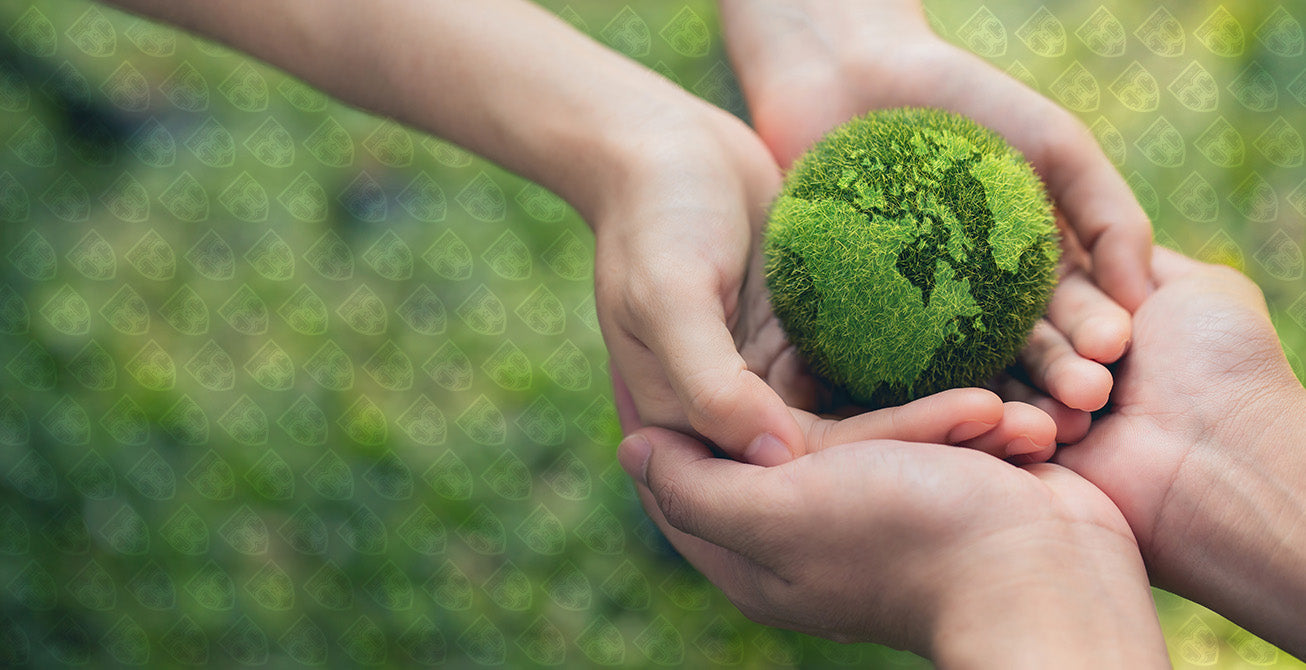 Sustainabaility_89e8cae1-5894-4631-a7e2-75d26b06f90c