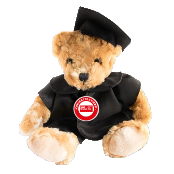 University of the West of England (UWE) - Keepsake Package - Graduation Hoodie, Bear & Tote Bag