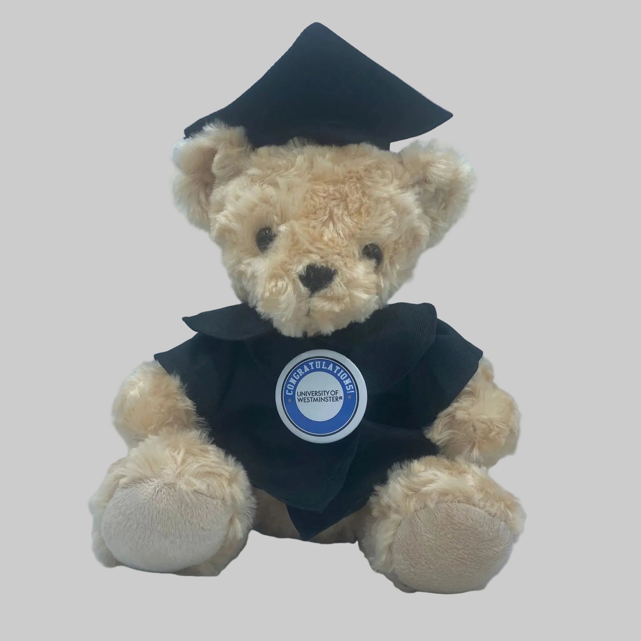 University of Westminster - Graduation Bear