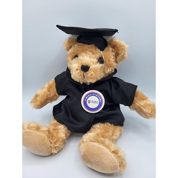 University of London Graduation Bear