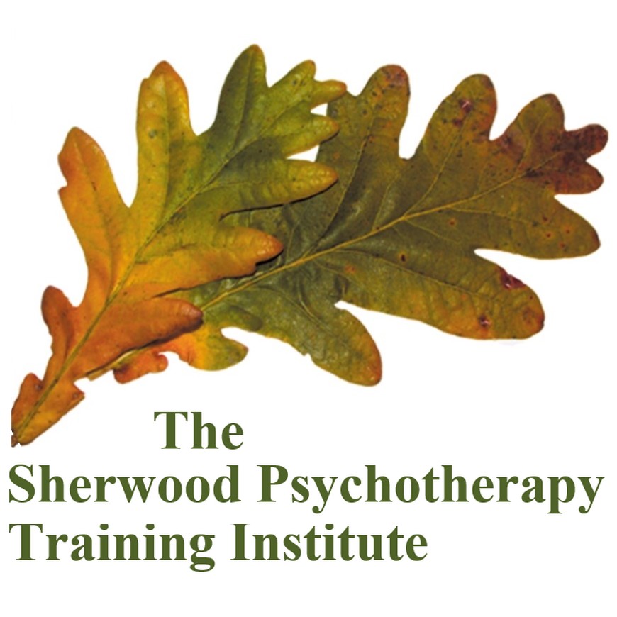 SPTI: The Sherwood Psychotherapy Training Institute Clothing ...