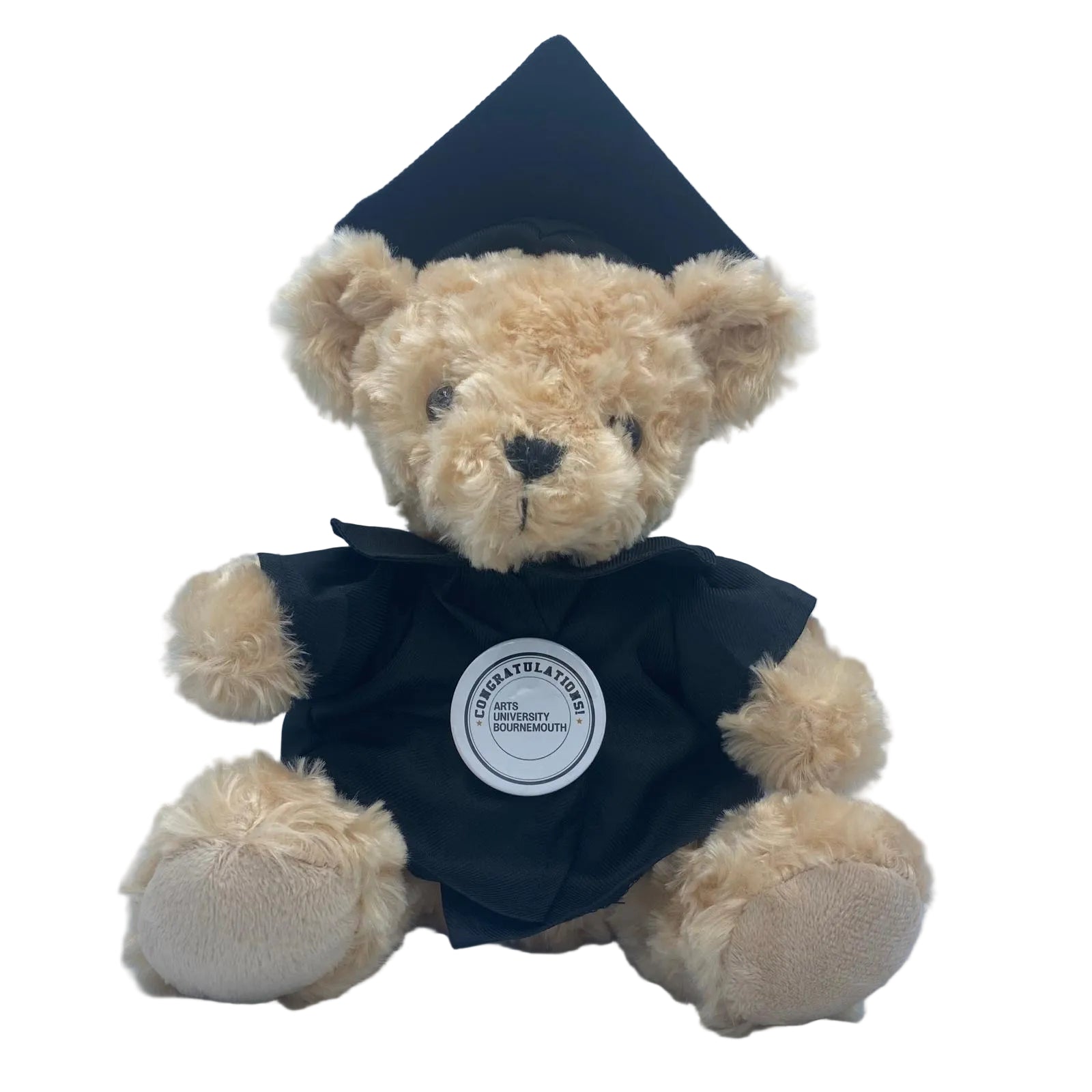 Arts University Bournemouth - Graduation Bear