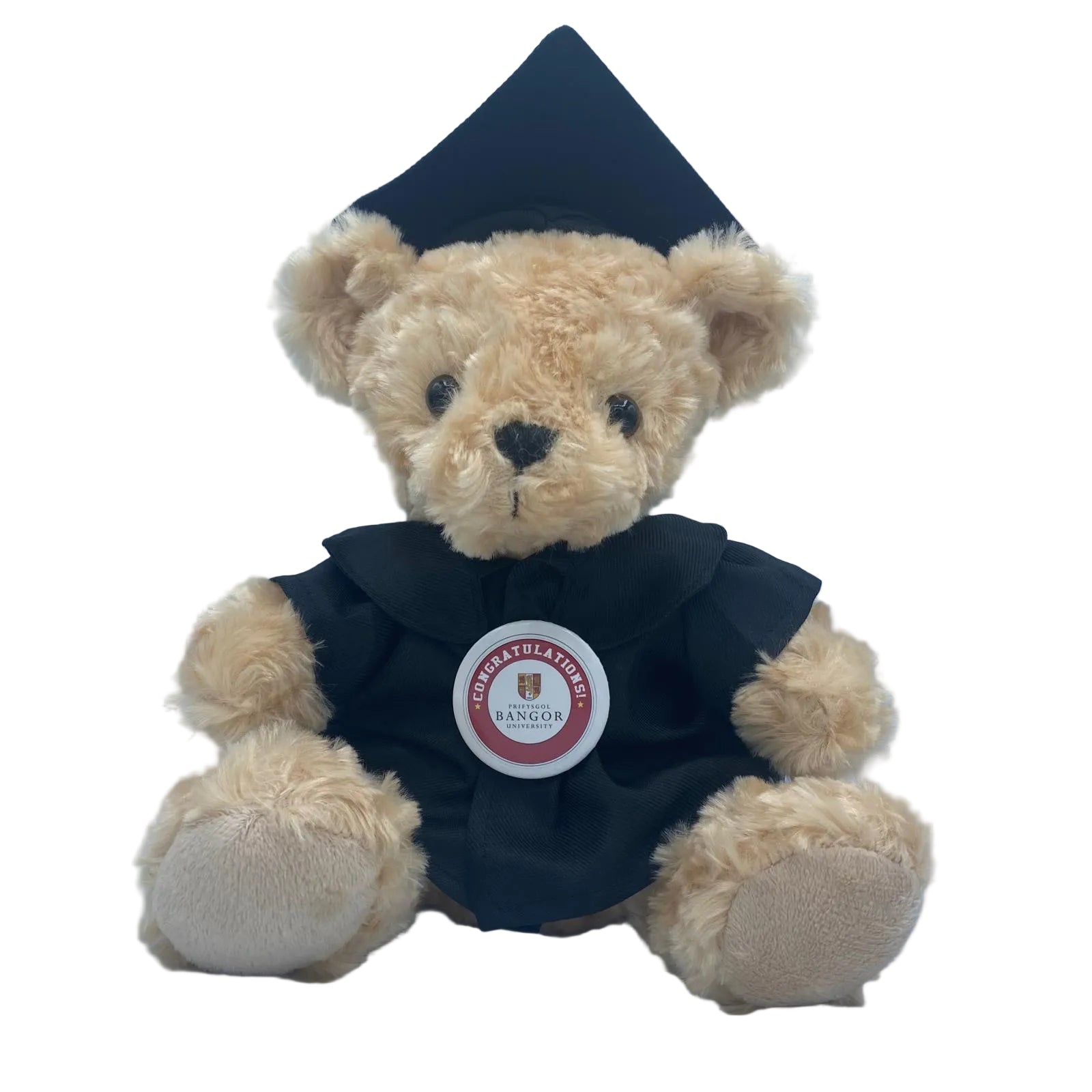 Bangor University - Graduation Bear