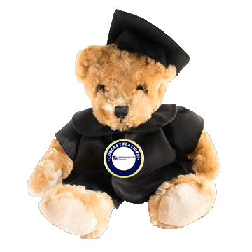 Birmingham City University - Graduation Bear