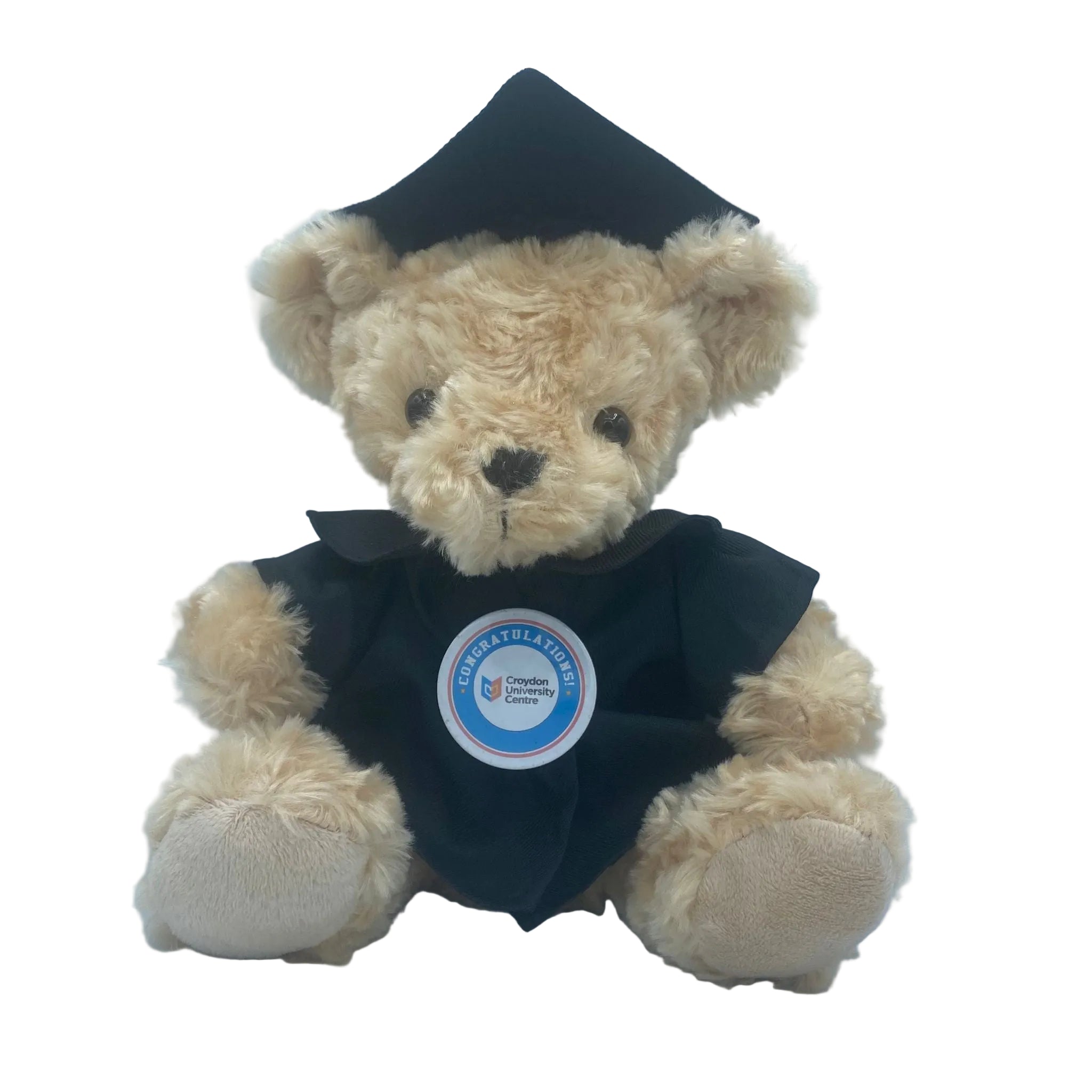 Croydon University Centre - Graduation Bear