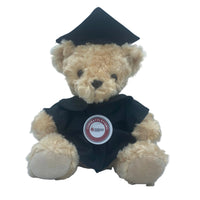 De Montfort University - Graduation Bear