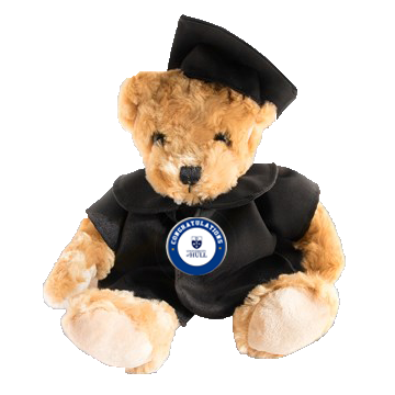 The University of Hull - Graduation Bear